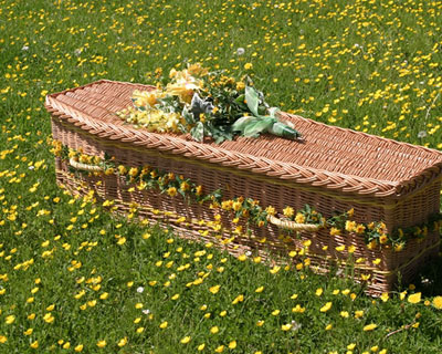 Green Funerals Newton Abbot, Green Funerals Torquay, Green Funerals Brixham, Green Funerals Ashburton, Green Funerals South Hams, allwood Green Funerals Totnes