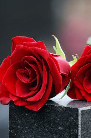 Family run Funeral Directors based in Totnes Devon for Cremation and Burial Funerals, covering Torquay, Newton Abbot, Exeter, Brixham, Paignton, South Devon and South Hams Funeral Directors Newton Abbot, Funeral Directors Torquay, Funeral Directors Brixham, Funeral Directors Ashburton, Funeral Directors South Hams, allwood Funeral Directors Totnes