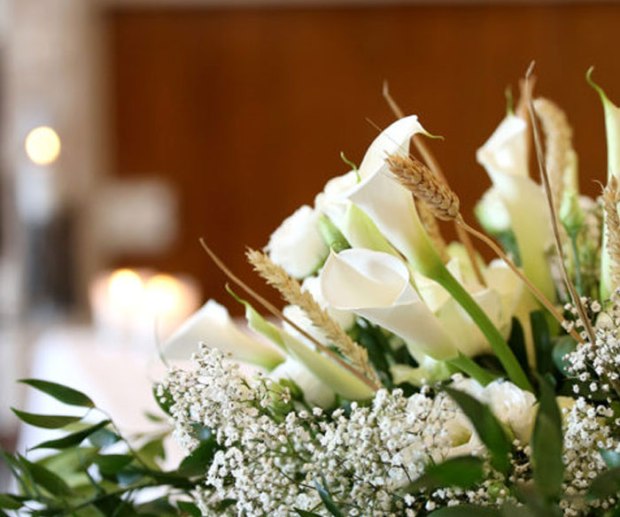 Family run Funeral Directors based in Totnes Devon for Green Funerals and Burial Funerals, covering Torquay, Newton Abbot, Exeter, Brixham, Paignton, South Devon and South Hams Green Funerals Newton Abbot, Green Funerals Torquay, Green Funerals Brixham, Green Funerals Ashburton, Green Funerals South Hams, allwood Green Funerals Totnes